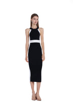 Sleeveless Crew-neck Black&White Paneled Bodycon Dress